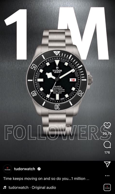 tudor ig